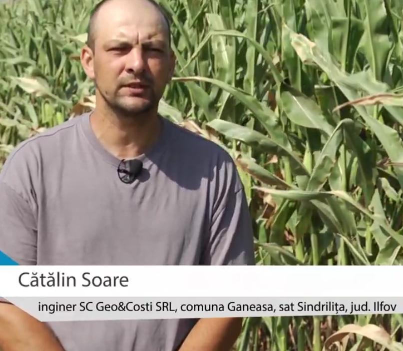 Cătălin Soare, partener Agricover din județul Ilfov, despre tehnologia aplicată culturii de porumb Cătălin Soare, partener Agricover din județul Ilfov, despre tehnologia aplicată culturii de porumb